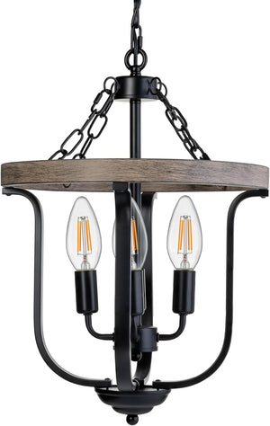 PENDANT LIGHT 1