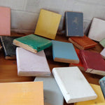 Paint Color Samples - Renewed Decor & Storage